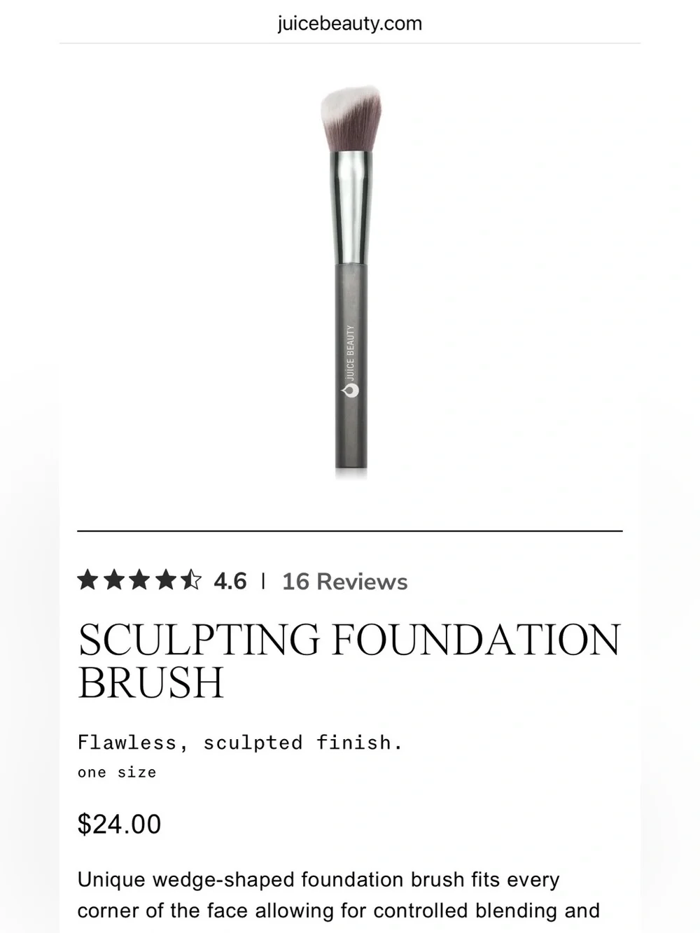 Juice Beauty Makeup Brush New